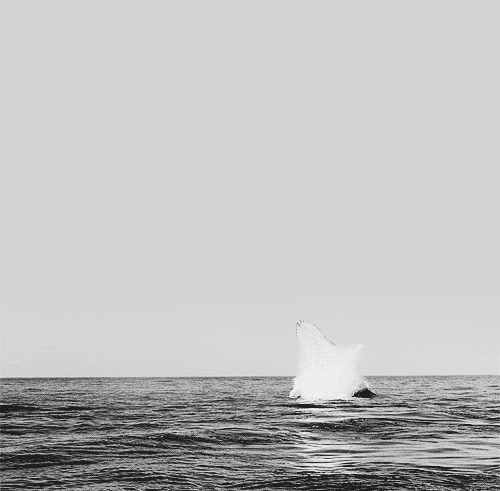 Prometheus-One