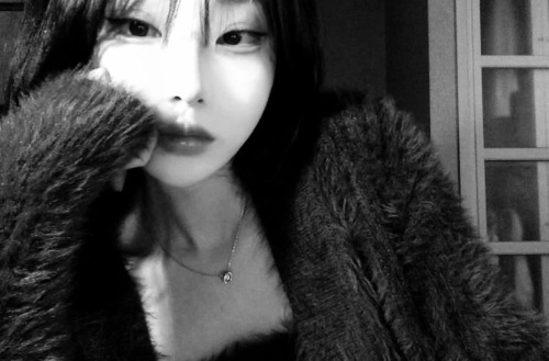 Revenge | L.MH SMAU