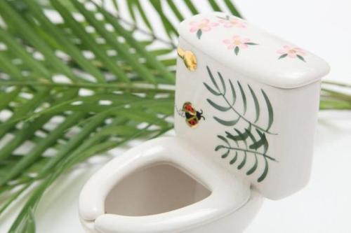 sixpenceee:Miniature, handpainted toilet planter. Link