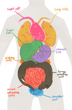 Phantomspade:  Cl0Thes0Ff:  My Lung Cats Are Fighting Today  Why Isn’t The Pussy