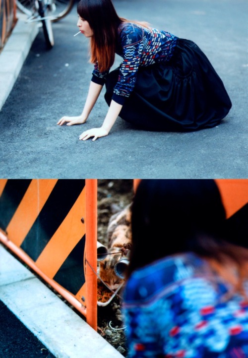 nock-nock-nock:  日南 響子
