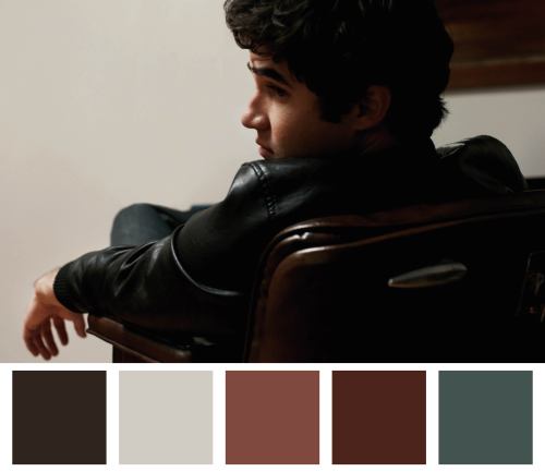 darebaredaisy: Pantone Color Palettes: Darren Criss 
