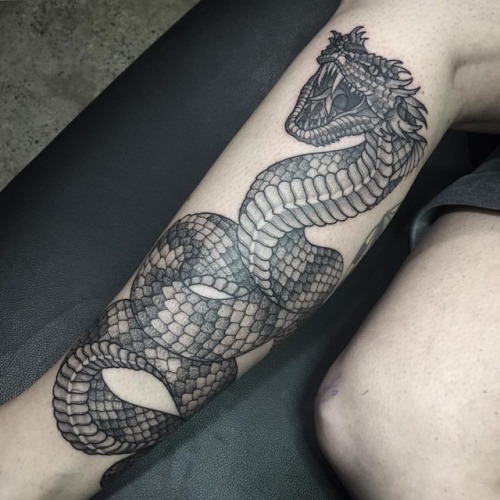 Details more than 62 basilisk tattoo super hot