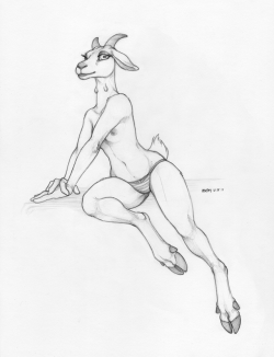 random goat i sketched while i was camping