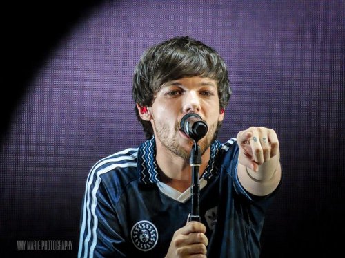 lthqs:Louis performing at Poptopia by Amy Marie