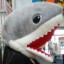 boldlyangryshark