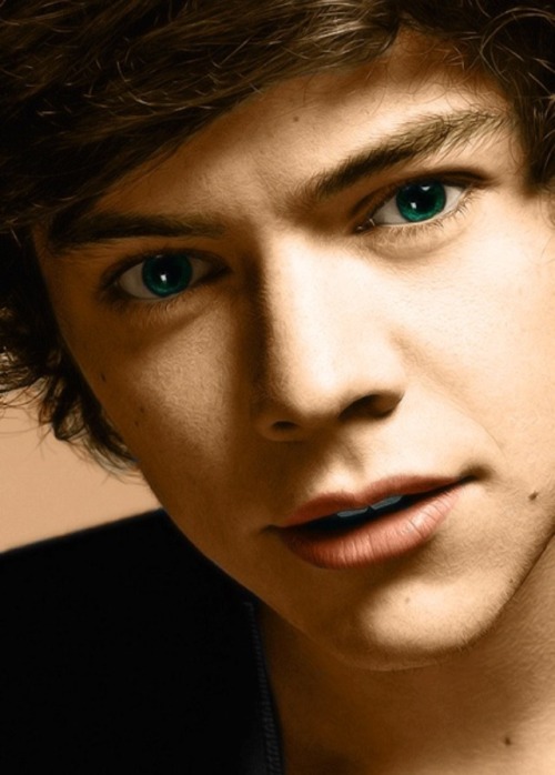 1dfanfictorforever:  I know that people are certain “girls" but come on u gotta like all the guys. I love him but there is more in the band then just harry 