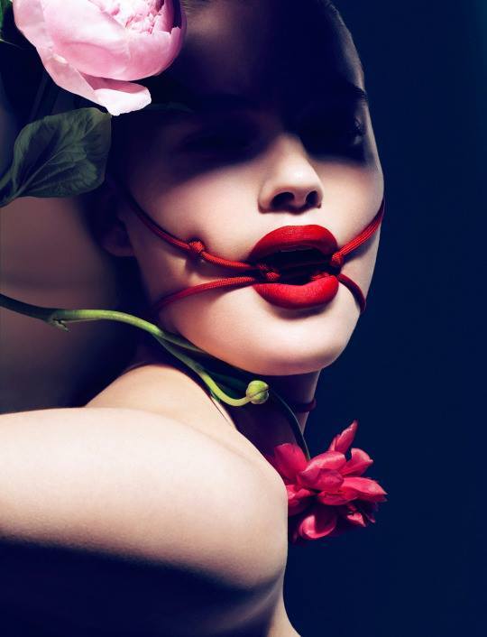 she-purrrrs:      Flowers…  ✪    