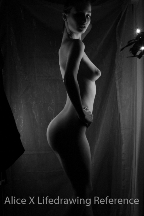 alicexblog:  Lifedrawing “Shadows”. To be used for references only. Live streams are free to attend on Picarto.tv