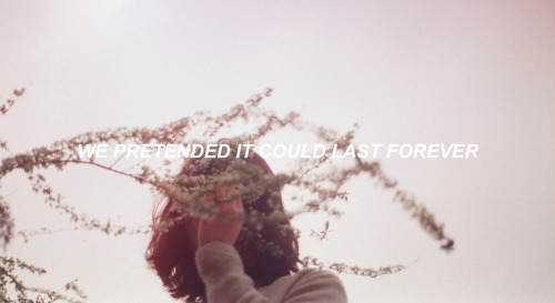 taiylorswift:wonderland // taylor swift