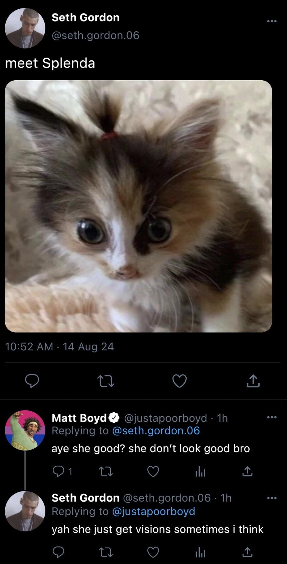 Socmed AU - Pets Edition!!!