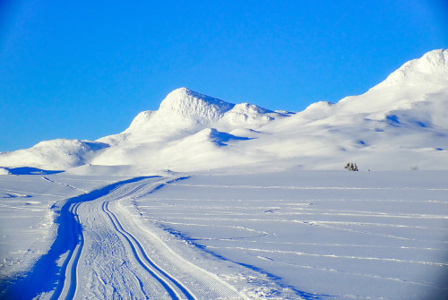 Cross-country skiing. Tuddal, Norway. In explore. by trine.syvertsen flic.kr/p/2kqtzPk