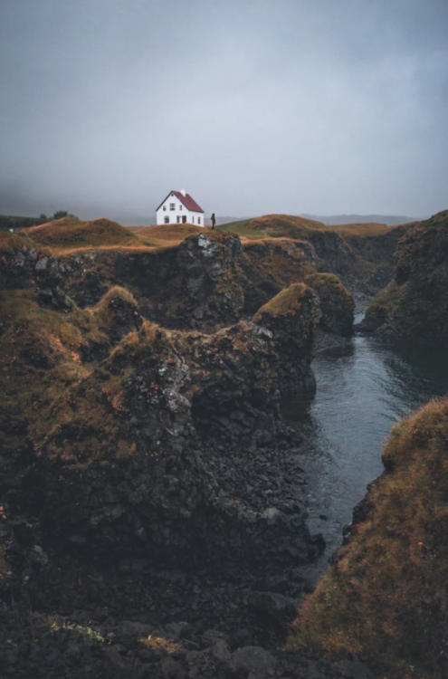 birdsonqs:by  Johannes Hulsch  