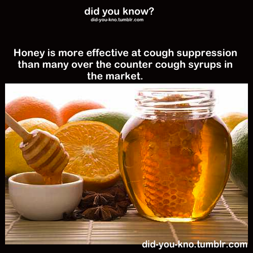 did-you-kno:  Source