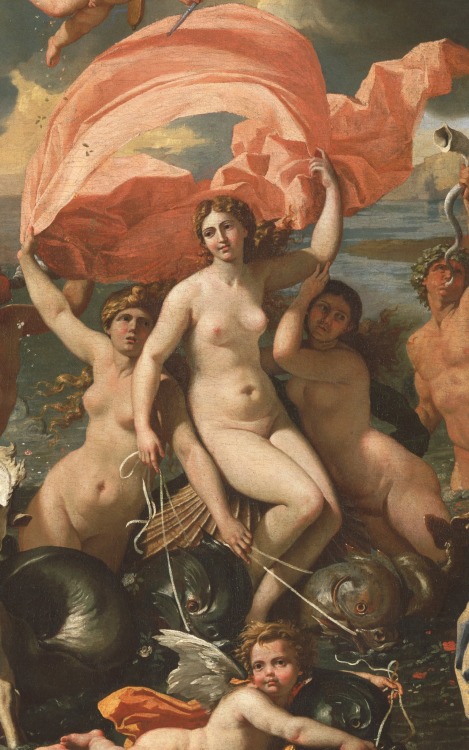 artessenziale:The Birth Of Venus in art (details) by François Boucher (1740), Henri Pierre Picou (18