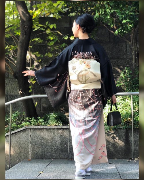 Graceful itogiku (”thread chrysanthemum”) kimono, with cheeky peeking kogiku (round mums) on the hak