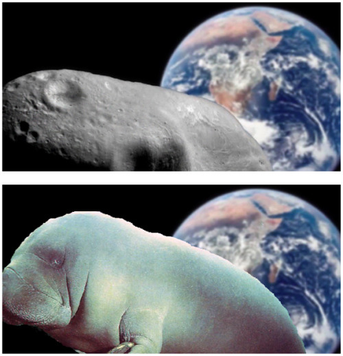 Yesterday, I was half-asleep on the couch as the NBC Nightly News covered Asteroid 2012 DA14&rsq