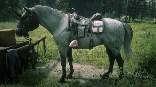 Showcasing the horses I have in “Red Dead Online”. Some new, some old with a lot less saddle variety