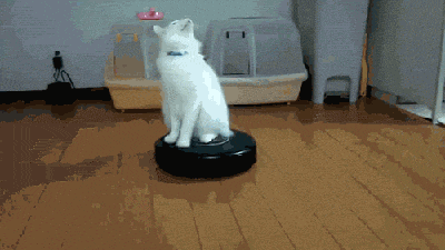 srsfunny:  Look I’m A Ballerinahttp://srsfunny.tumblr.com/