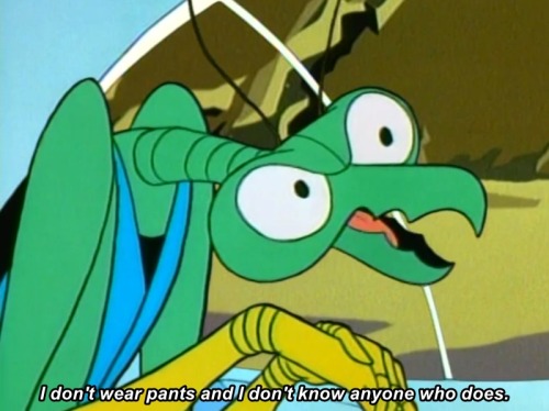 zorak