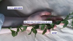 anythingbutdarling.tumblr.com post 94912112268