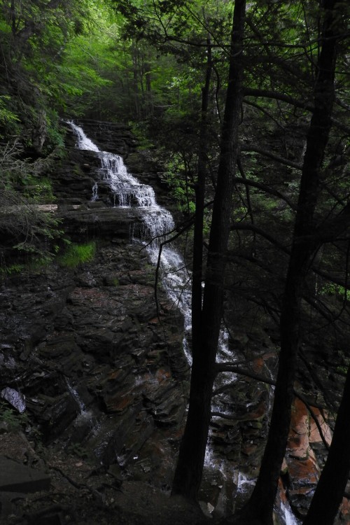 aetheric-aesthetic:•Ganoga Glen•