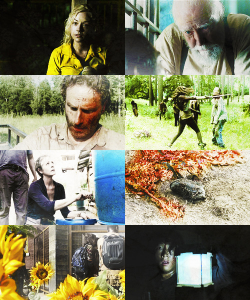 sail-not-drift: TWD + Season 4 + Colors