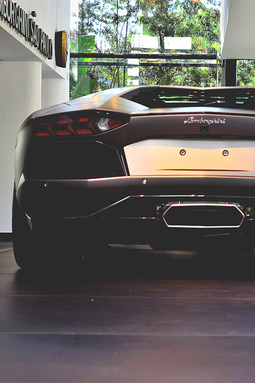 Premium Elegance.