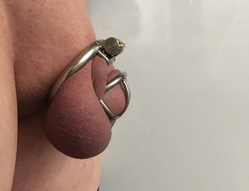 maidtowearpantyhose:New cage for my sissy’s clit…