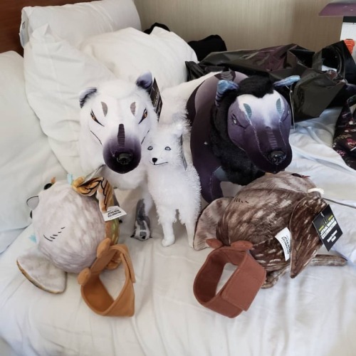 Ignore me just making an army in my hotel room#convor #morai #crystalfox #kyberfox #vulptex #lothw