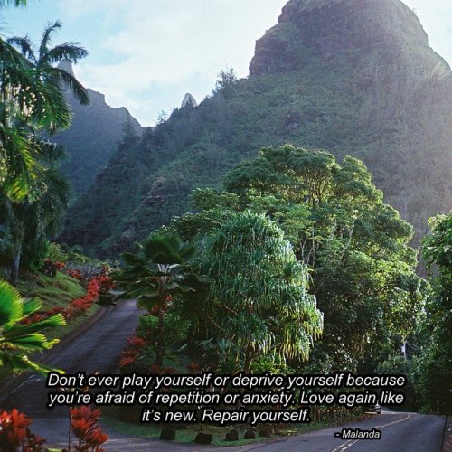 kushandwizdom:   