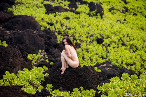 willhollis:  Model: @jordanlehn Photographer: Will Hollis Taken in Maui, Hawaii. Help support my photography: patreon.com/willhollis 