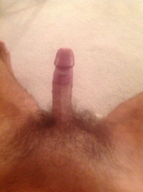 hairyballsmakemeshoot: Great bush, cock and balls! Thanks for the submission!