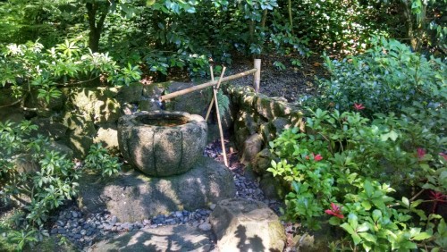 XXX txepvi:  Some more of the Japanese gardens! photo
