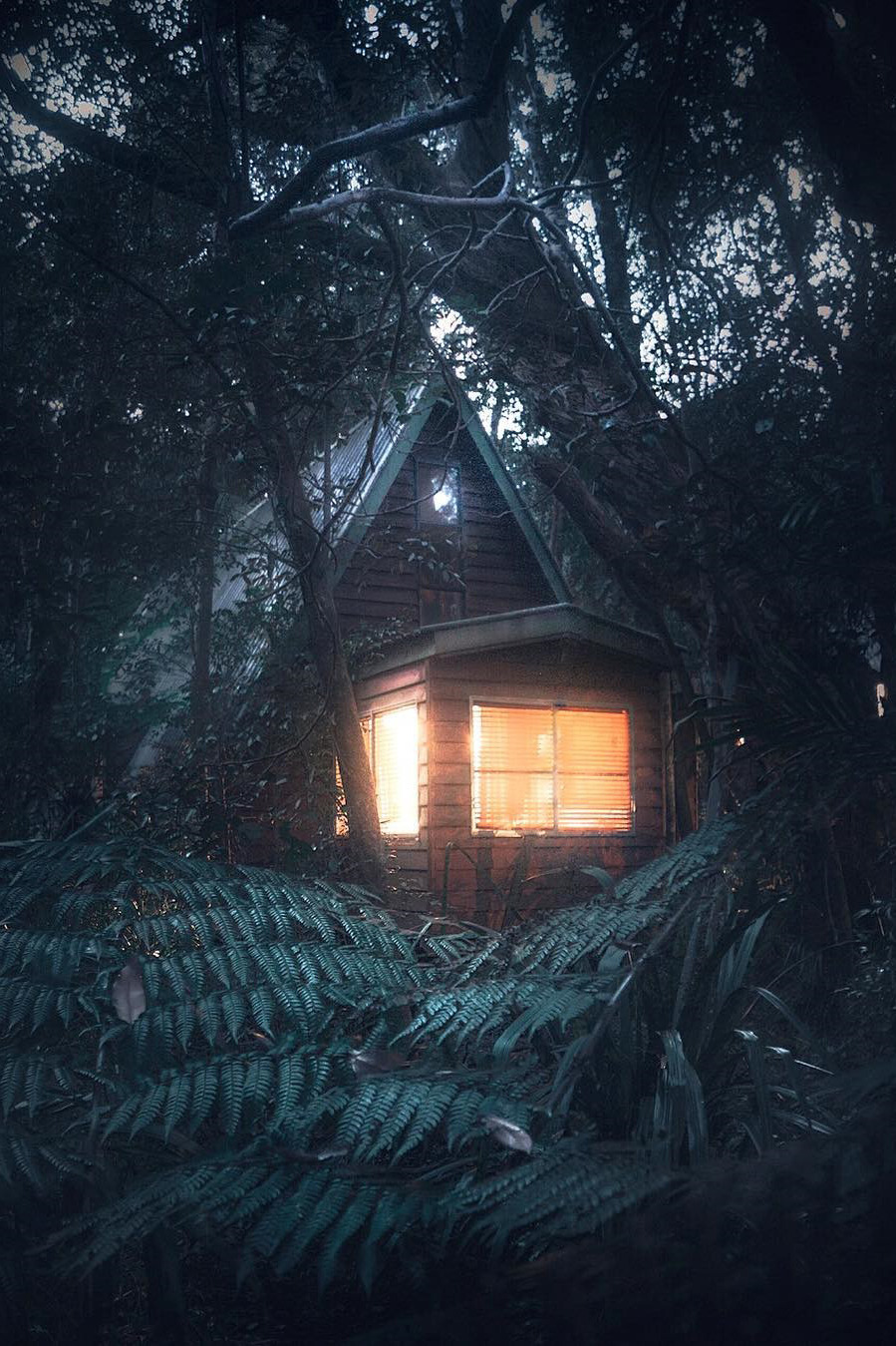 lsleofskye:  The Mouses House Rainforest Retreat