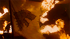 braavosz:  GoT Challenge ♚ favorite house      ↳House Stark The Starks of