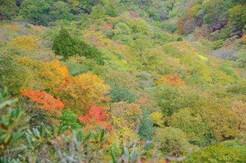 美しい季節☺️✨ . #ザ山部 #mountains #mountainlovers #mountaineering #trekking #hiking #nature #naturelovers #