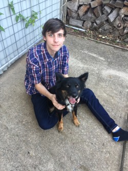 mitchytumbles:  Dogs are ok I guess 