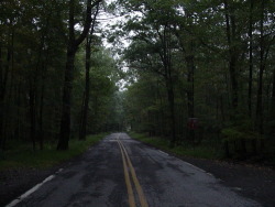 dichotomized:  Clinton Road, New Jersey - “What