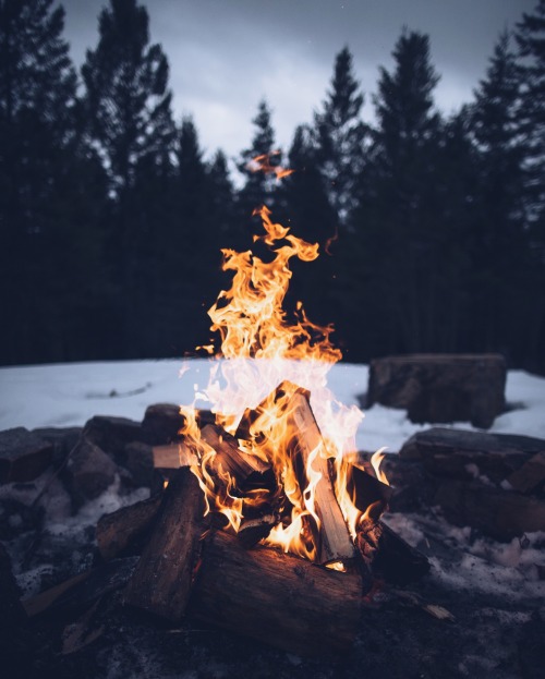 bruinalexander:  Backyard Hangs 