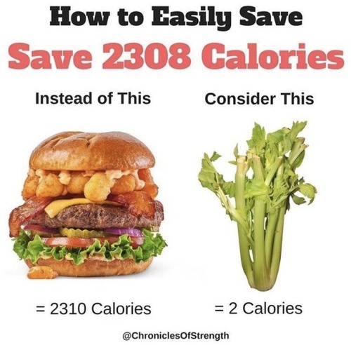 calorie counting