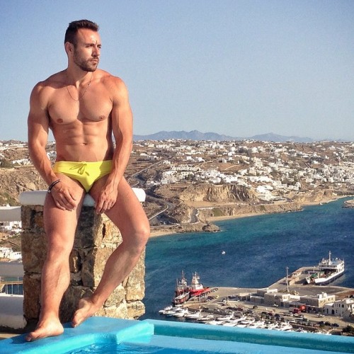 :  speedogram | undiegram 
