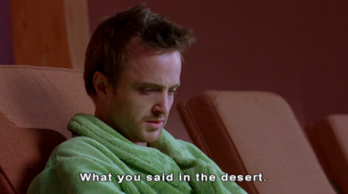 purpozes:breaking bad (s02e13)