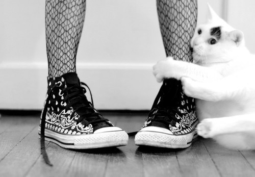 rachel509:  C: on We Heart It. https://weheartit.com/entry/77221514/via/jazmin_miranda4