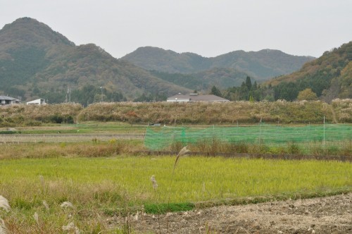 Yumesaki, Japan