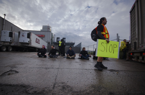 Meet Me at the Stockyards - Toronto This is an action taking place on Thurs. Nov. 6, assembly at 8 a