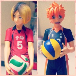 lukas-bondevik:  My #KozumeKenma and #HinataShoyo from #Haikyuu statues came in the mail today! #hq