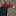 aloesheetmask:  i hate that the salem witch trials are taught about in elementary school as just like a thing that happened and not one of the most horrific crimes against women ever committed   but saying it was just about women is reductionist, because