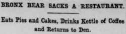 yesterdaysprint:  New York Tribune, New York, May 19, 1906  