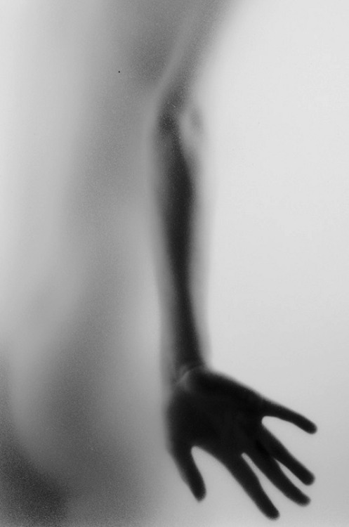 banishedfromcamelot:  Photo by Michael Magin 
